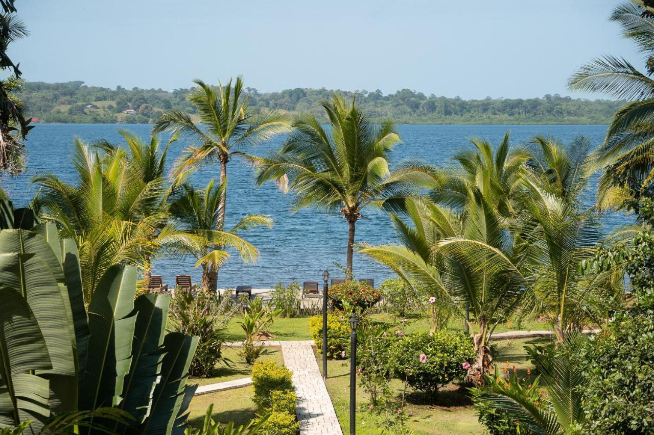 Dolphin Blue Paradise Hotel