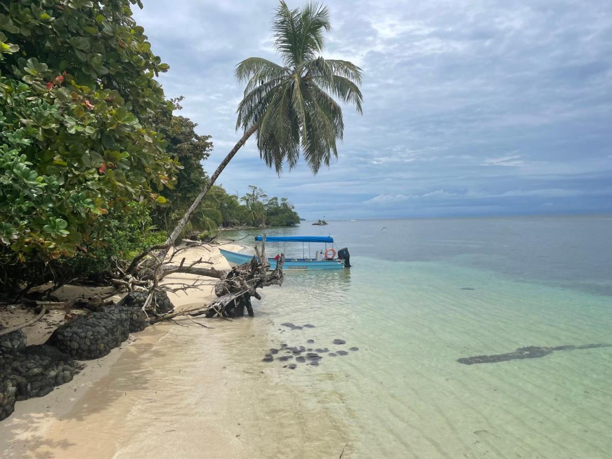 Dolphin Blue Paradise Hotel Bocas del Toro