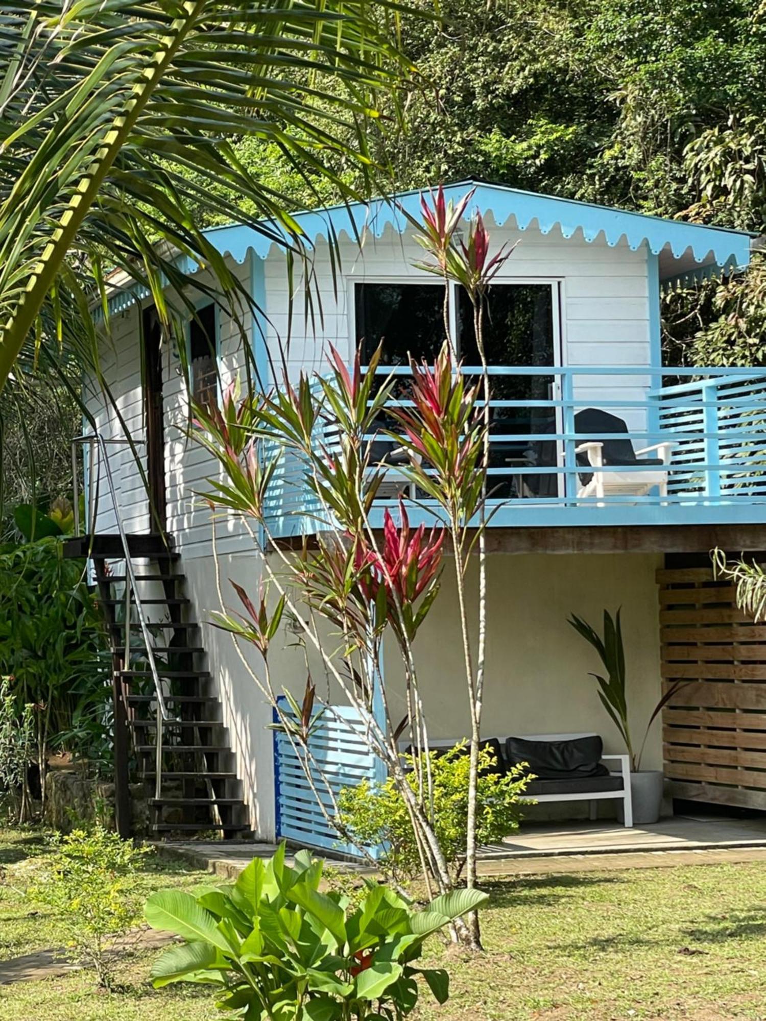 Dolphin Blue Paradise Hotel Bocas del Toro