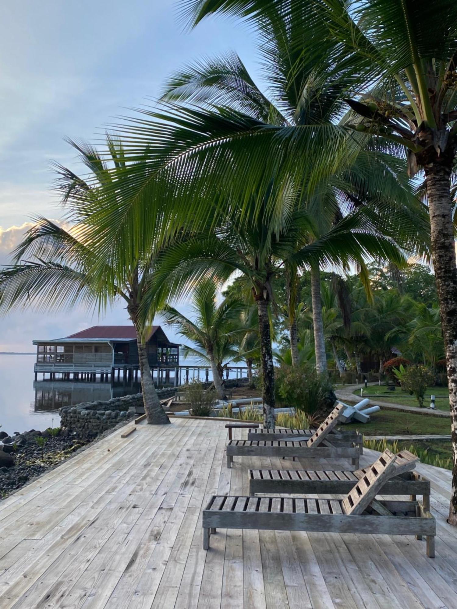 Dolphin Blue Paradise Hotel