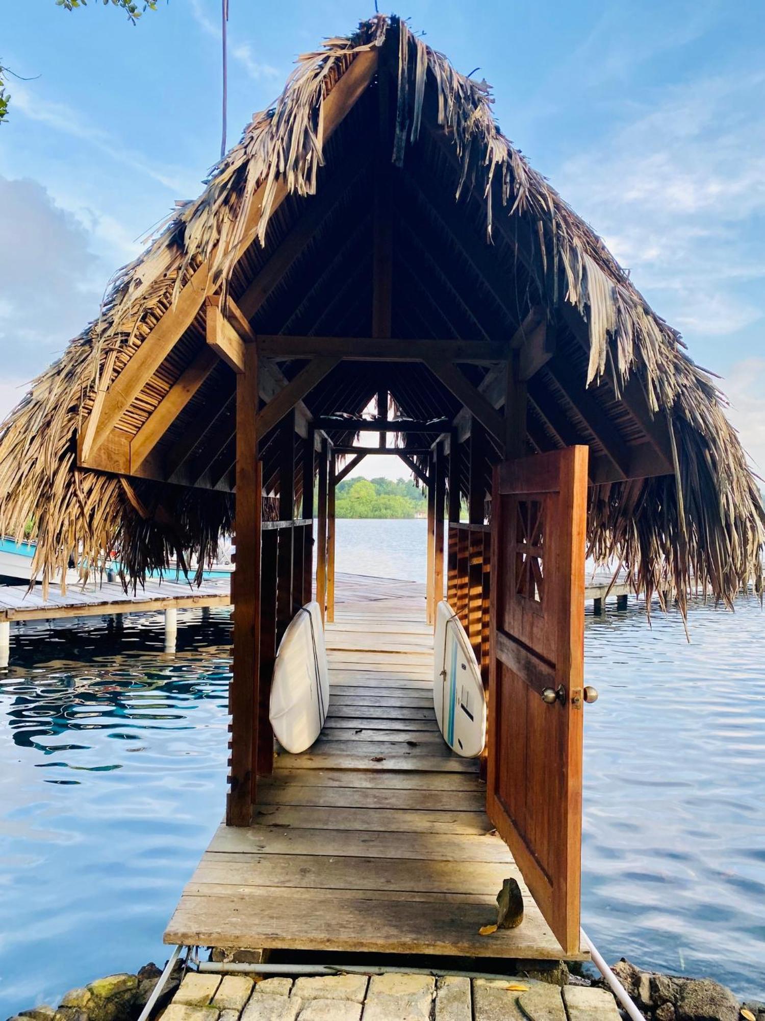 Dolphin Blue Paradise Bocas del Toro
