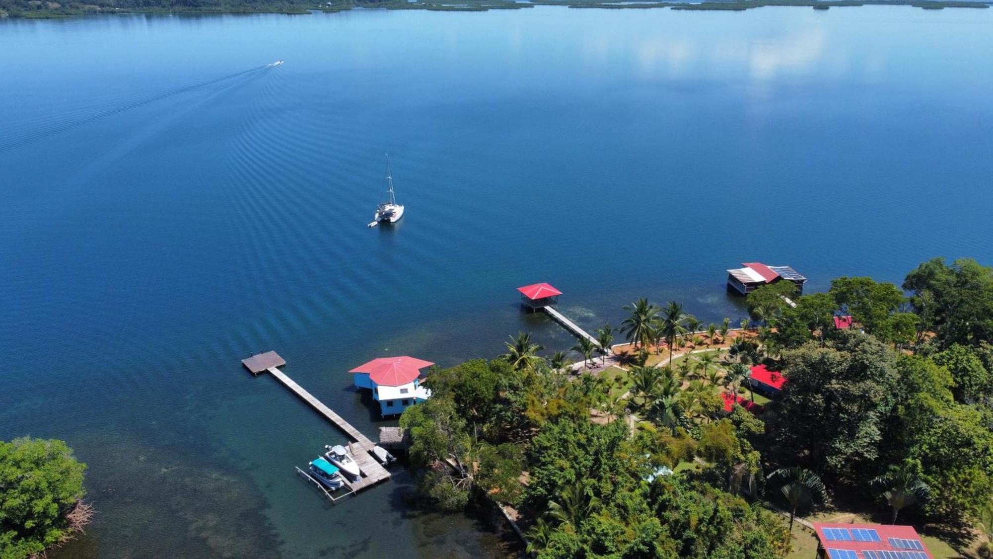 Hotel Dolphin Blue Paradise Bocas del Toro