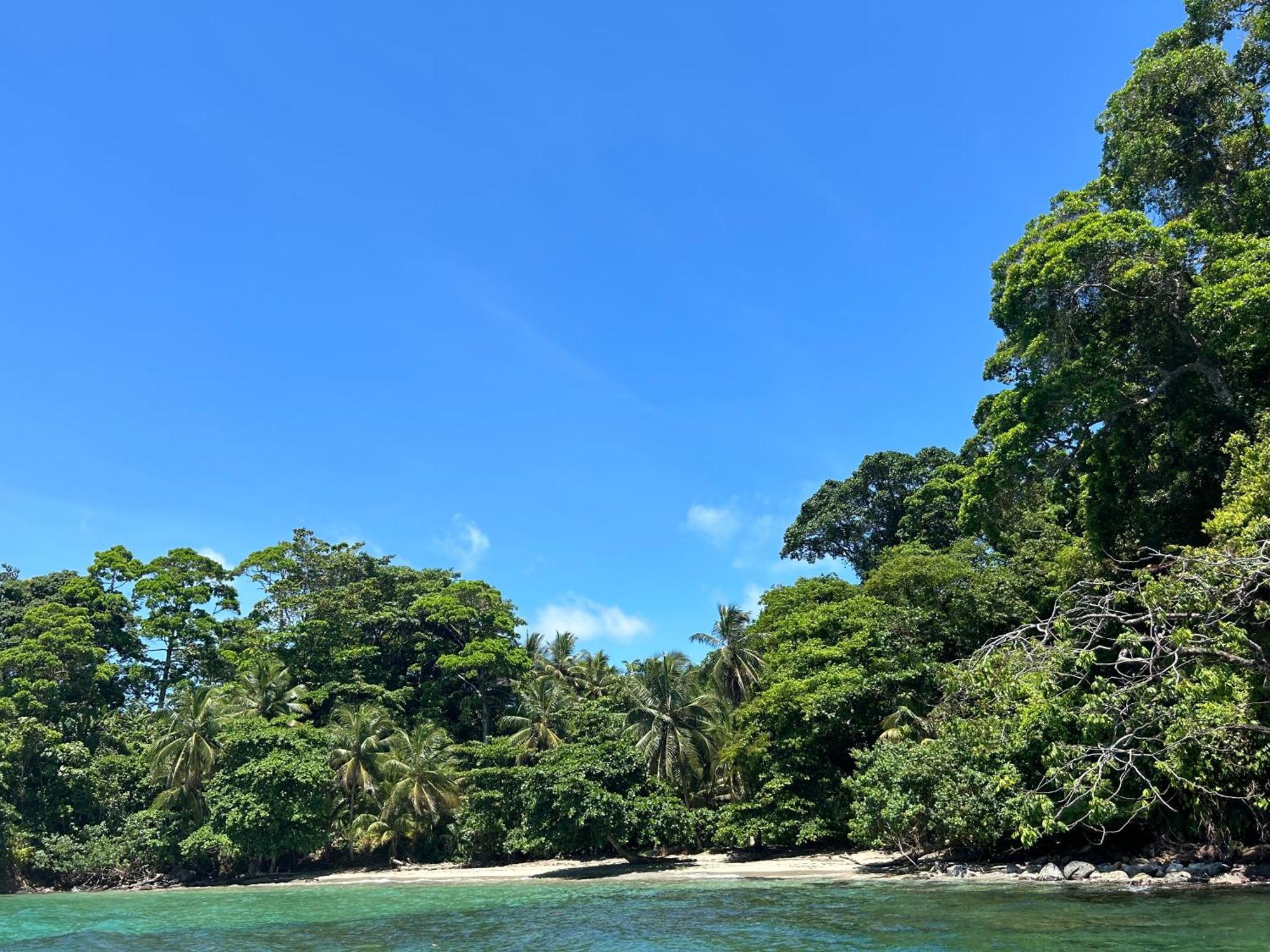 Dolphin Blue Paradise * Bocas del Toro
